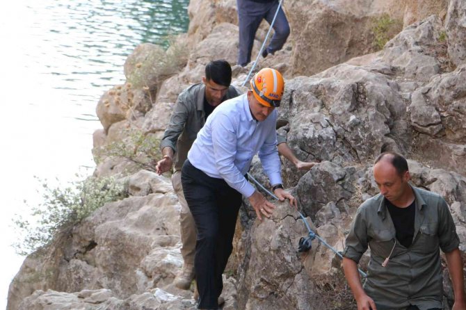 Bakan Soylu: "(Hdp’li Güzel’in Yakalanması) Kaçmak İsterken Sahte Evraklarla Yola Çıkmış Gereği Yerine Getirildi”
