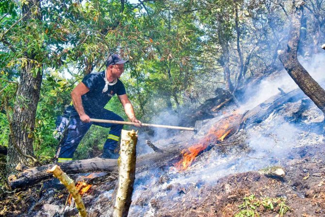 Gürcistan’da Orman Yangınları Sürüyor