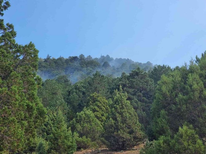 Isparta Senirkent’te Çıkan Orman Yangını Kontrol Altına Alındı