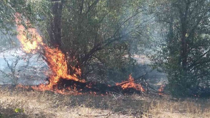 Tarım Arazisinde Çıkan Anız Yangınında Ağaçlar Ve Bağlar Küle Döndü