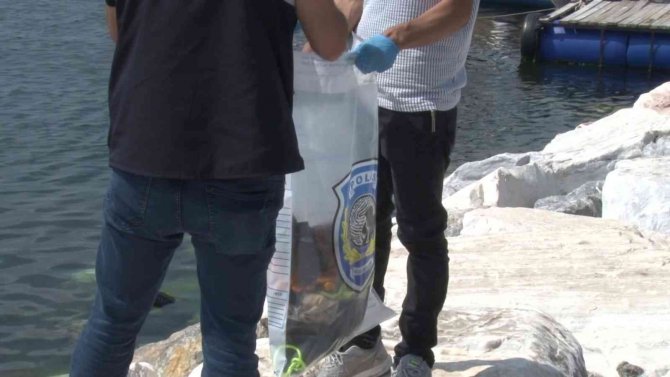 Maltepe’de Yüzmek İçin Denize Giren Genç Boğularak Hayatını Kaybetti