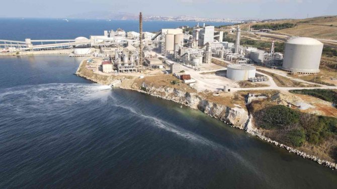 Bagfaş, Deşarja Devam Ediyor