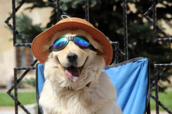 Sivas’ta Son Asrın En Sıcak 3 Eylül’ü Yaşandı