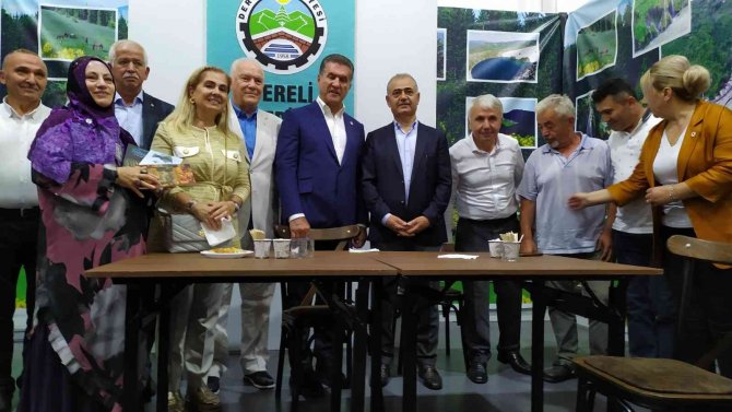 Tdp Genel Başkanı Sarıgül: “Parlamentoda Ki Tüm Siyasi Partileri, Mültecilerin Ab’ye Üye Ülkelere Eşit Dağıtılması İçin İktidara Destek Vermeye Davet Ediyorum”