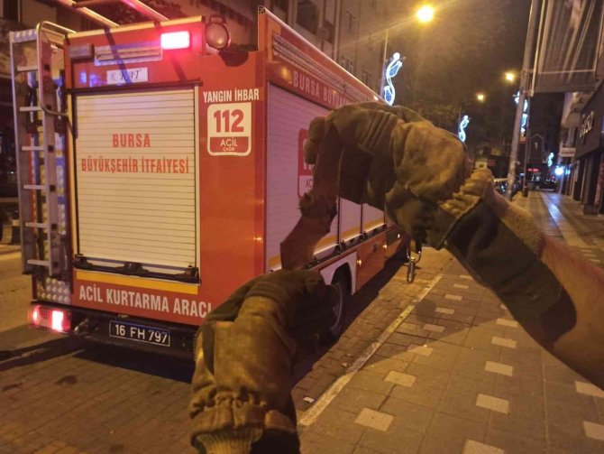 Evin İçine Giren Yarasayı İtfaiye Ekipleri Çıkardı