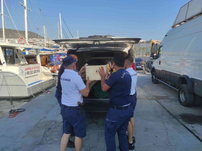 Kuşadası’nda Türk Karasularına İtilen Düzensiz Göçmenler Yakalandı