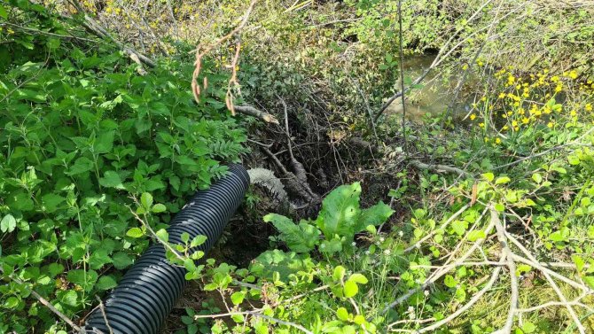 Bin 500 Haneli Mahallenin Kanalizasyonu Bu Dereye Akıyor