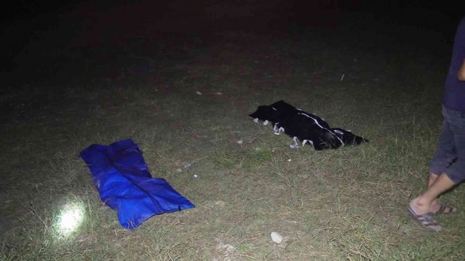 Serinlemek İçin Gölete Giren 2 Kardeş Boğuldu