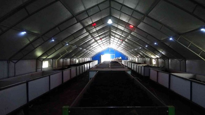 Isparta’da Organik Tarımın Olmazsa Olmazı Solucan Gübresi