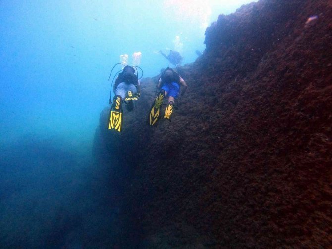 Akdeniz’in Su Altı Dünyasını Keşfediyorlar