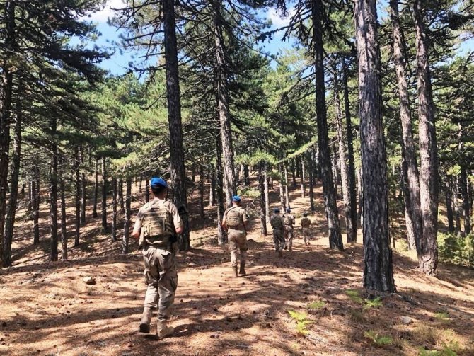 Kütahya Ve İlçelerinde Orman Yangınları İle Mücadele Tedbirleri