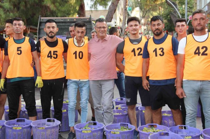 50 Kiloluk Üzüm Yüklü Kelterlerle Kıyasıya Yarış