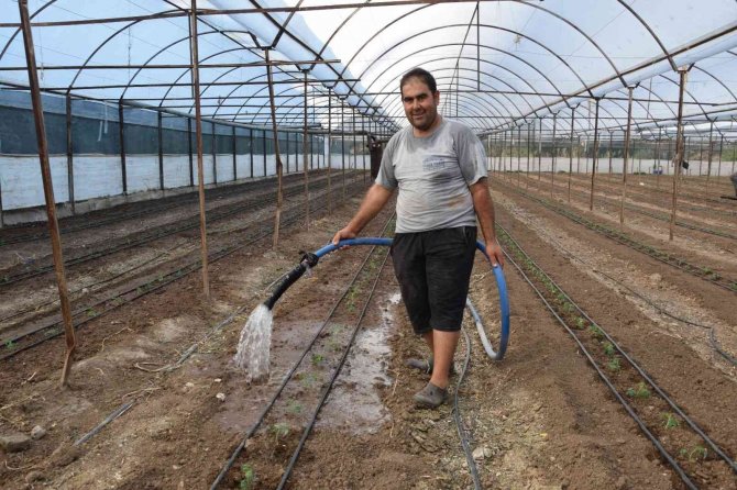 Antalya’da 62 Milyon 500 Bin Domates Fidesi Toprakla Buluşuyor