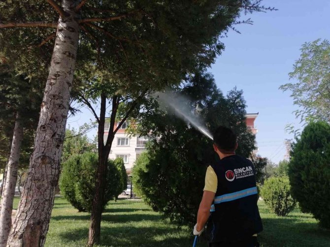 Sincan Belediyesi İlaçlama Ve Dezenfekte Çalışmalarına Devam Ediyor