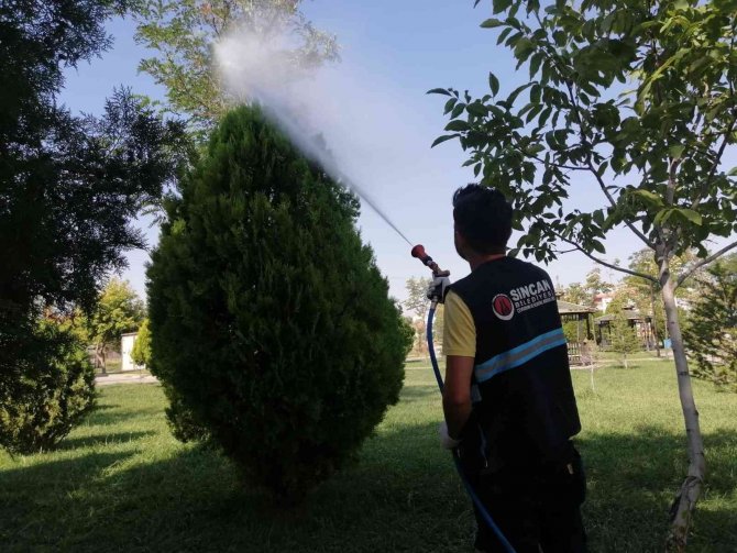 Sincan Belediyesi İlaçlama Ve Dezenfekte Çalışmalarına Devam Ediyor