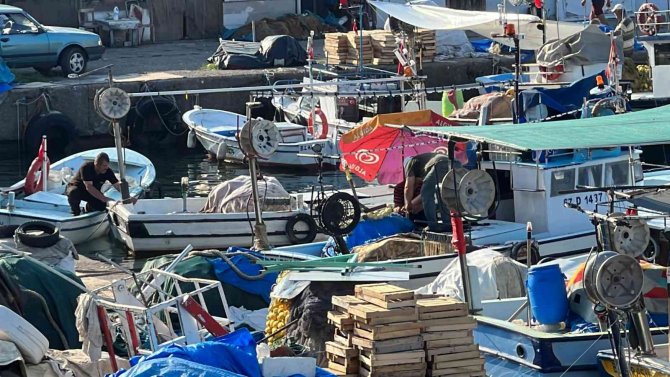 Deniz Suyu Sıcaklığı Avcılığı Olumsuz Etkiledi