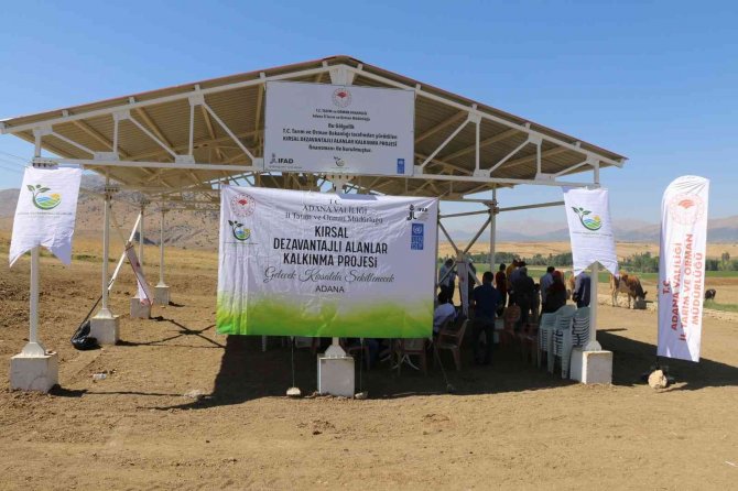 Meralarda Hayvan Refahı Artıyor