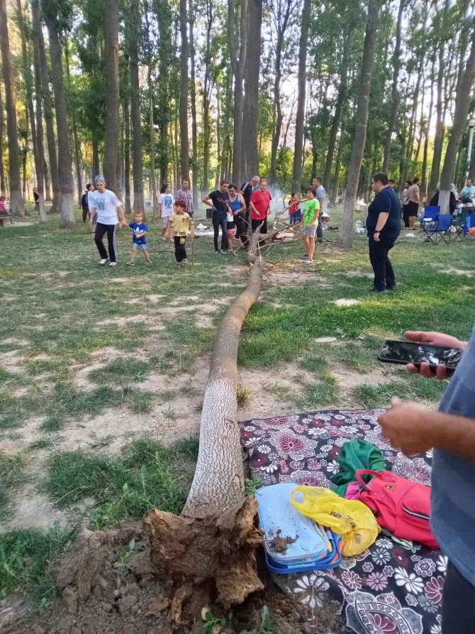Mangal Keyfi Az Kalsın Faciaya Dönüyordu