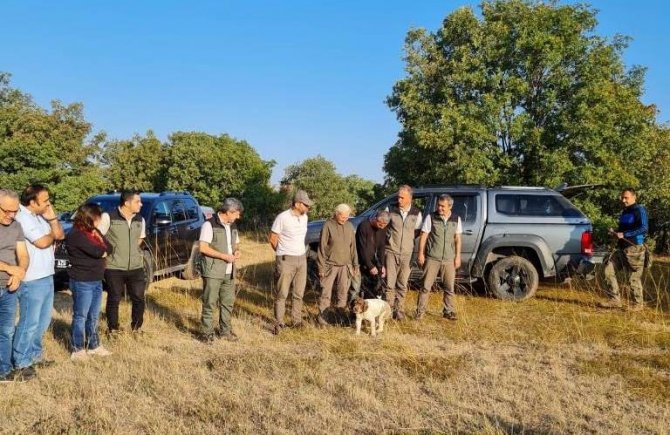 Altıntaş’ta Eğitimli Köpeklerle Trüf Mantarı Arama Çalışmaları
