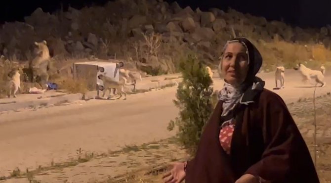 Sarıkamış’ta Sıradan Bir Gün