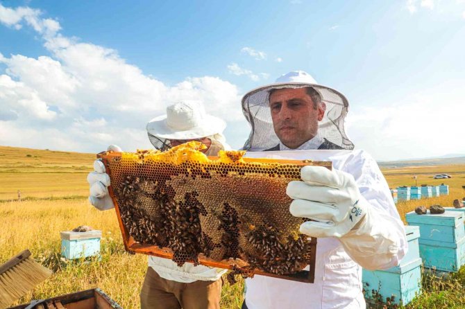 Köy Hayatını Seçti, Amacı Bal Üretiminde Markalaşmak