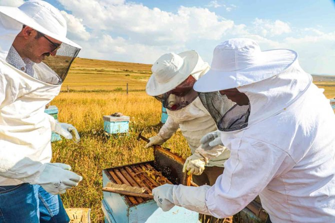 Köy Hayatını Seçti, Amacı Bal Üretiminde Markalaşmak