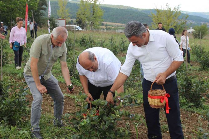 Yaşı 90, Kurusu İse 450 Tl