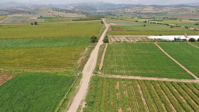 Bursa’da Çiftçi Ürettiğini Komisyonsuz Tüketiciye Ulaştırıyor