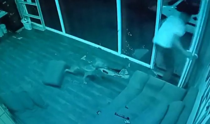 Esenyurt’ta Köpeği İle Şakalaşırken Nereye Kaçacağını Şaşırdı