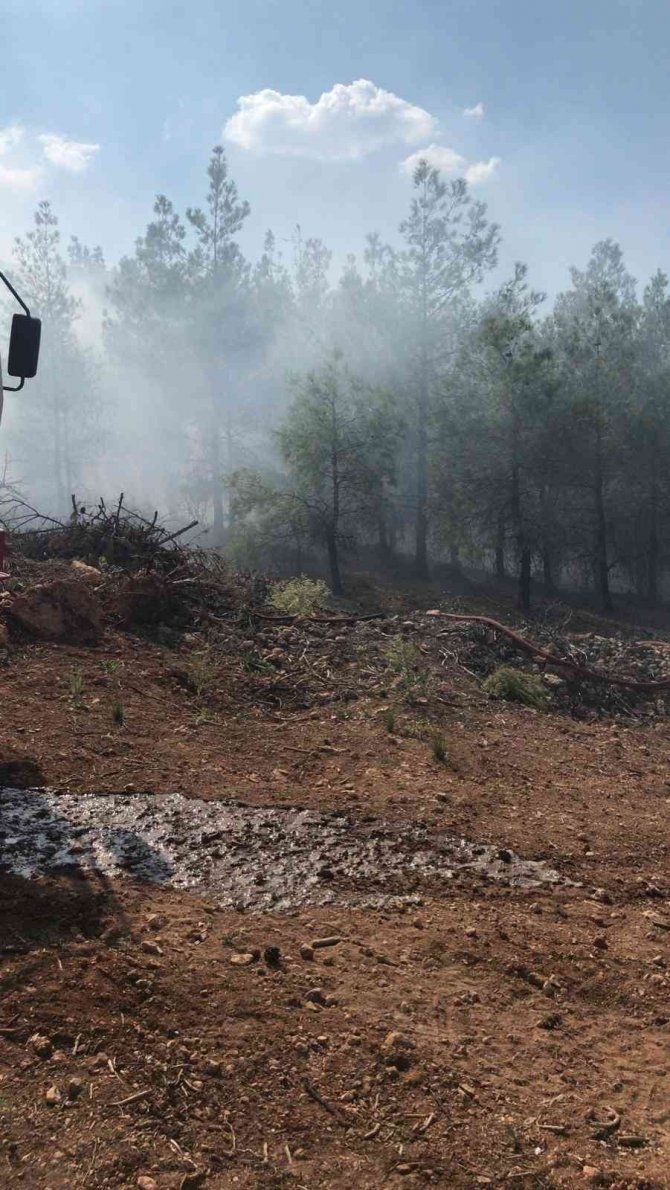 Orman İşçisi Müdahale Ettiği Yangında Zehirlendi