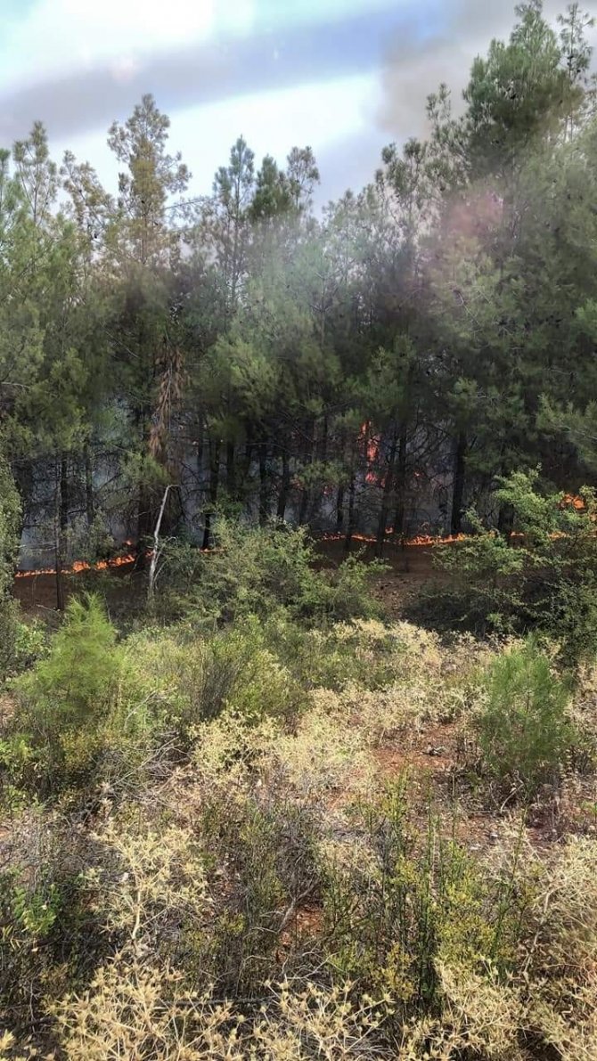 Orman İşçisi Müdahale Ettiği Yangında Zehirlendi