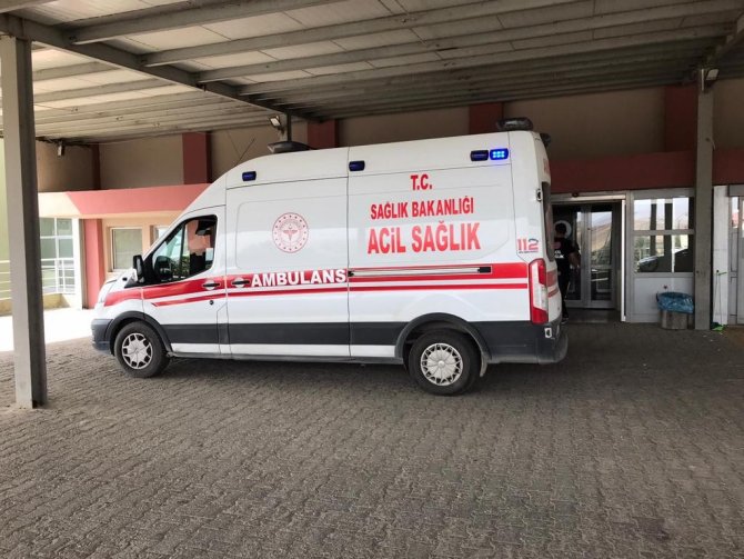 Ayı Çobana Saldırdı