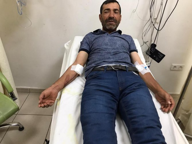 Ayı Çobana Saldırdı