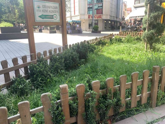 Hamamyolu’ndaki Bu Alanlar Bakım Bekliyor