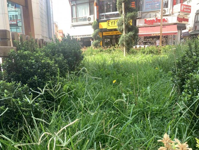 Hamamyolu’ndaki Bu Alanlar Bakım Bekliyor