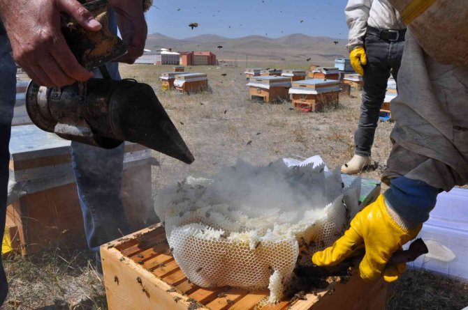 Kars’ta 26 Yıldır Dede Mesleği Arıcılık Yapıyor