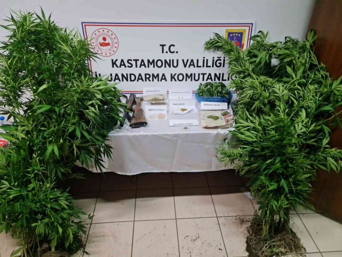 Kastamonu’da Jandarma Ekiplerinden Uyuşturucu Operasyonu: 1 Tutuklama
