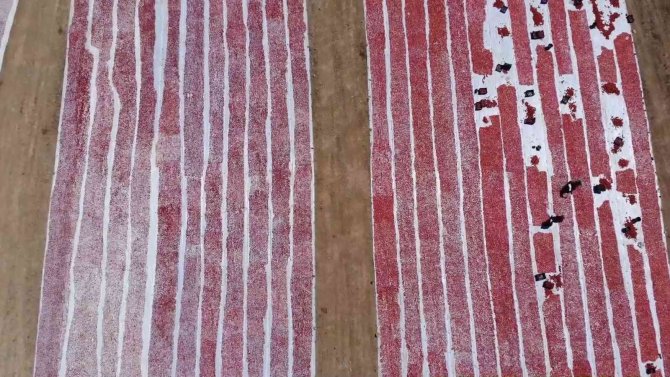 Domatesler İhracat İçin Güneşe Serildi: 7 Ülkeye Gönderilecek