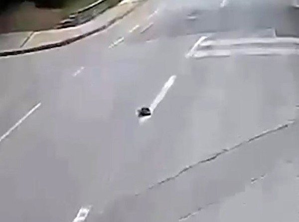 Kaplumbağanın Ezilmemesi İçin Yaptığı Hareket Takdir Topladı