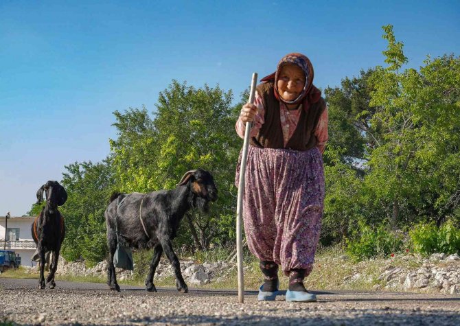 Mersin’in Köylerinde Kış Hazırlığı Başladı
