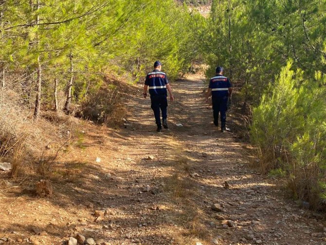 Muğla’da Orman Yangını Riskine Karşı Teyakkuz
