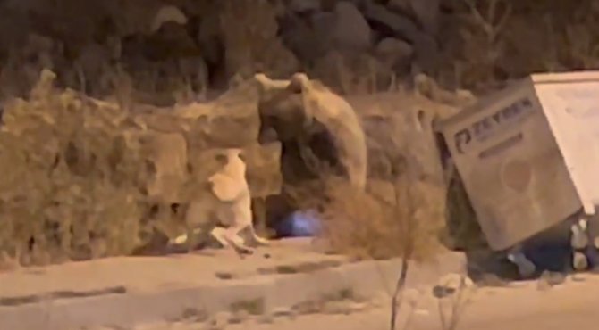 Sarıkamış’ta Sıradan Bir Gün