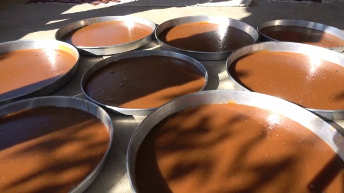 Siirt’te Pekmez Ve Pestil Telaşı Başladı