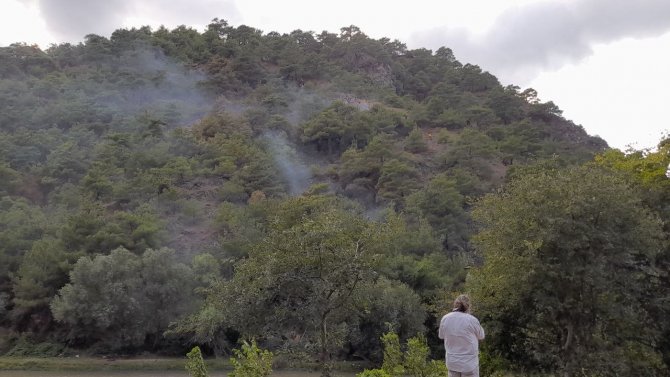 Tokat’ta Ormanlık Alanda Yangın