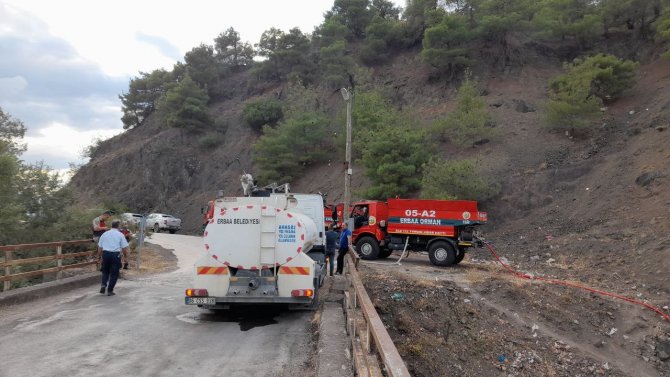 Tokat’ta Ormanlık Alanda Yangın