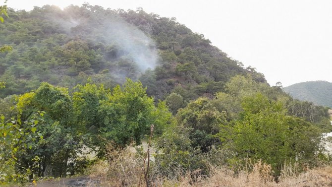 Tokat’ta Ormanlık Alanda Yangın