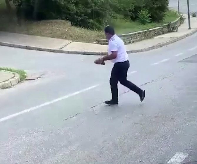 Kaplumbağanın Ezilmemesi İçin Yaptığı Hareket Takdir Topladı
