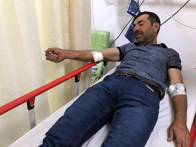 Ayı Çobana Saldırdı