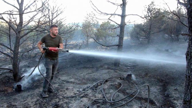 Yozgat’ta 15 Dekarlık Orman Küle Döndü