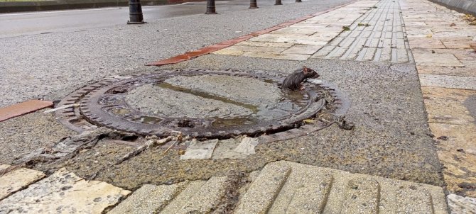 Farenin Fazla Kilosu Başına Dert Oldu